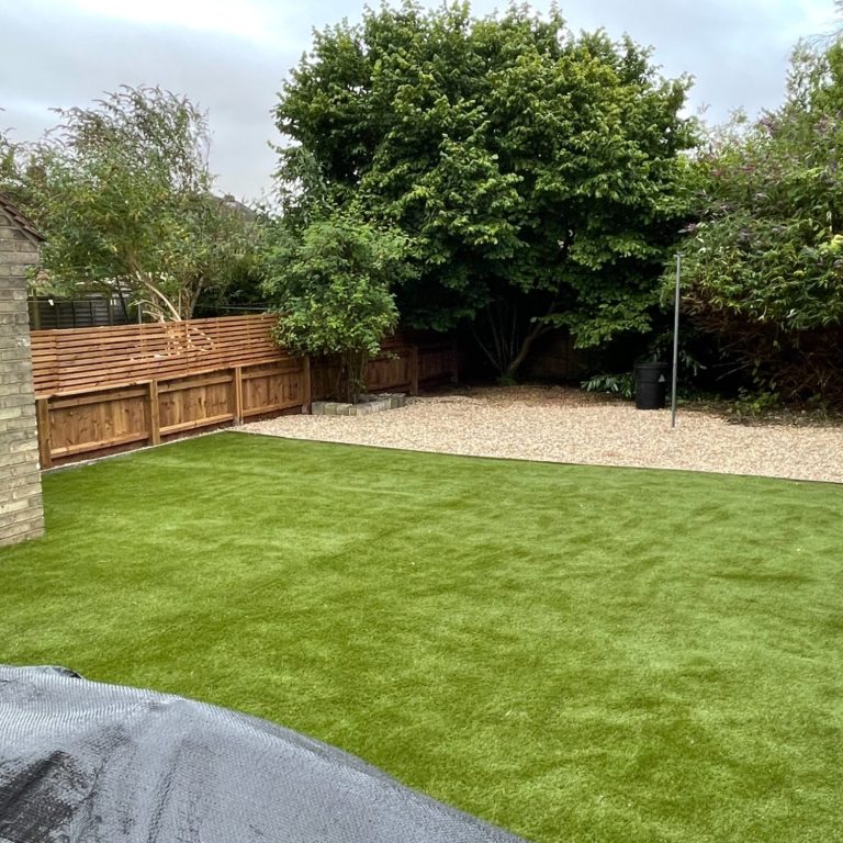 Low Maintenance Garden